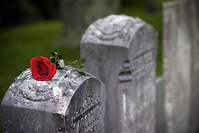 Rose on a gravestone