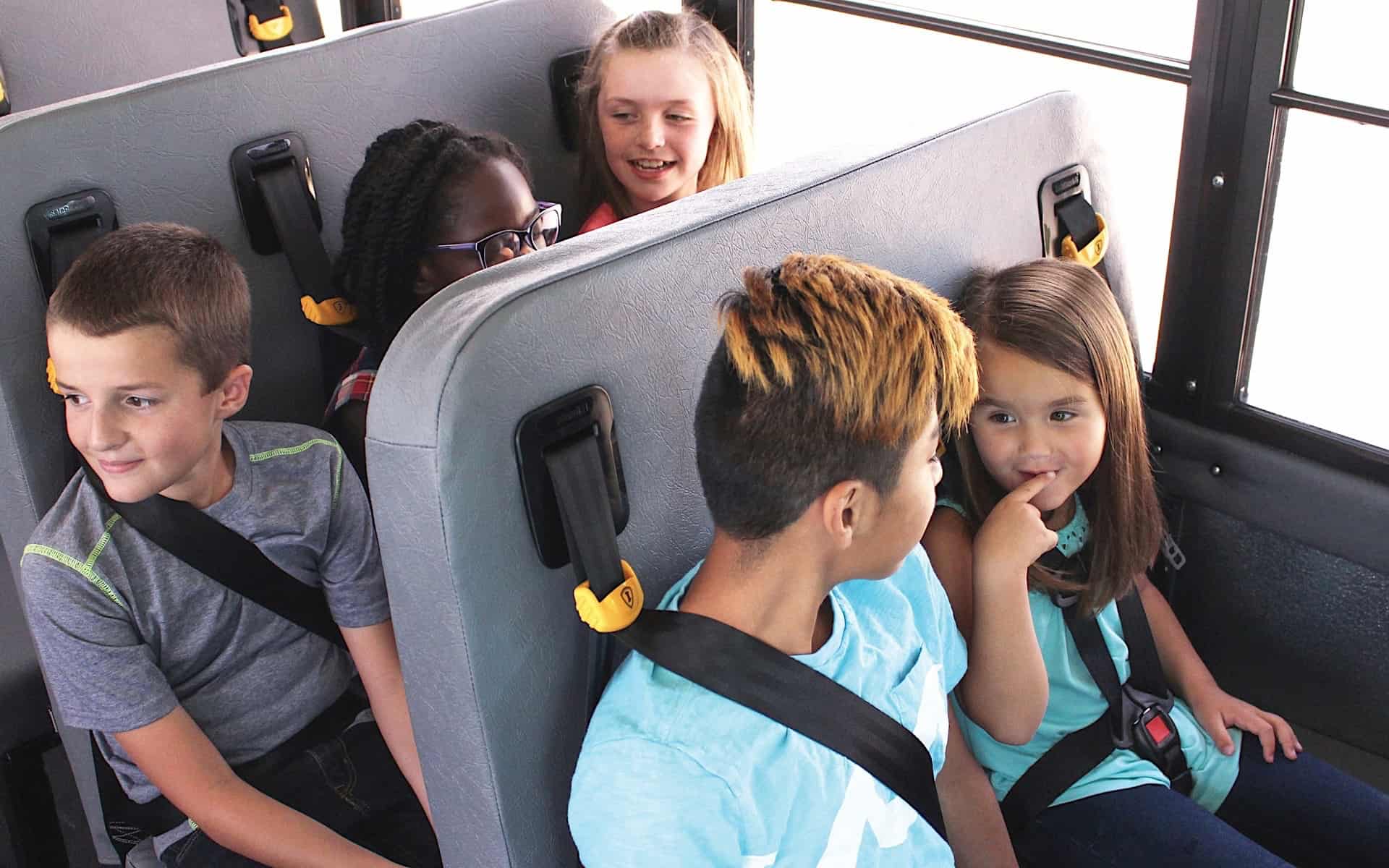 Car Seat Belt Two Point Seat Belt For Van/School Bus/Passenger Car