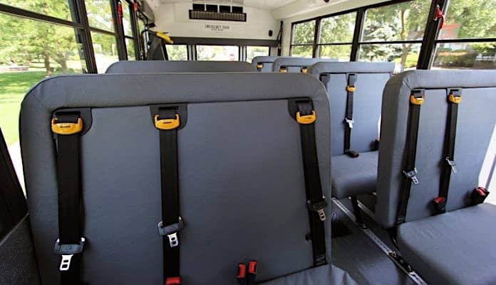 school bus driver seat belts