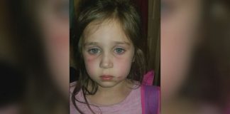 A 5-year-old girl was allegedly attacked on a Monroe Co. School Bus. (Photo from the 13WMAZ News Twitter page.)