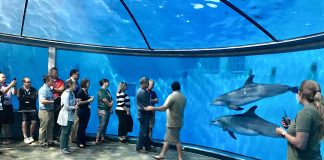 TD Summit, STN EXPO Indy 2019, was held at the Indianapolis Zoo's Dolphin Pavilion.