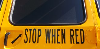 Stop When Red School Bus sign