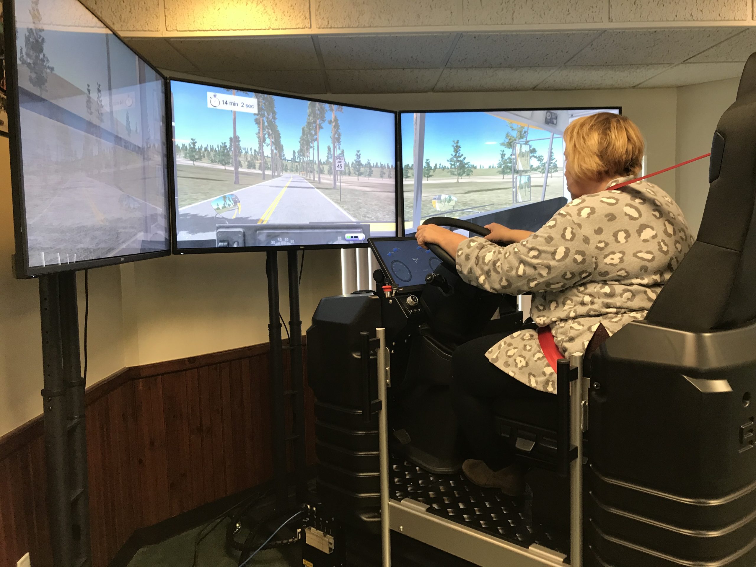 How to Learn to Drive in a Driving Simulator: 15 Steps