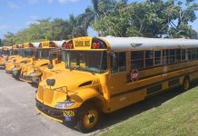 A row of Broward County Public Schools buses in Florida. (Photo by David Volz.)