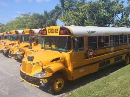 A row of Broward County Public Schools buses in Florida. (Photo by David Volz.)