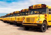 row of yellow school buses lined up in a parking lot